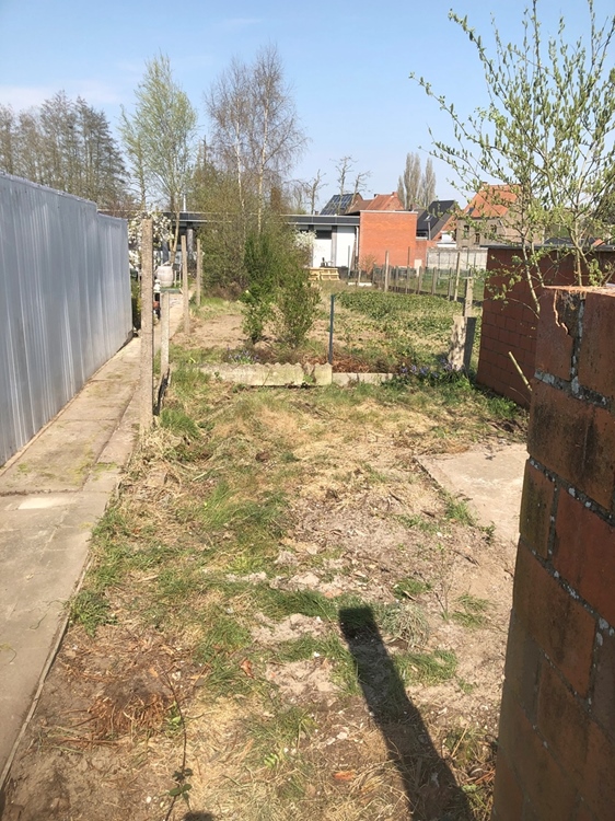 Rijwoning Rumbeke leegmaken en tuin verfraaien